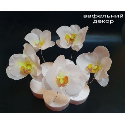 Вафельні  Орхідеї для декору 5 шт білі